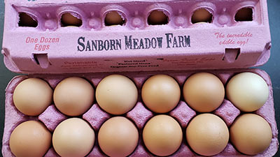 Sanborn Meadow Farm